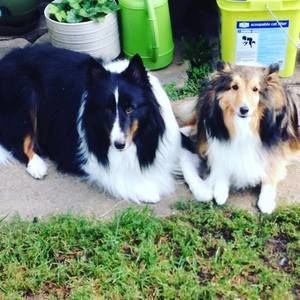 Meet your Posher, Deb